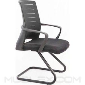 silla toronto interlocutora