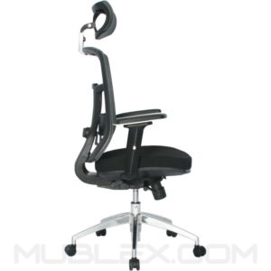 silla osaka presidente 2