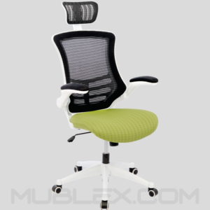 silla singapur marco blanco verde presidente