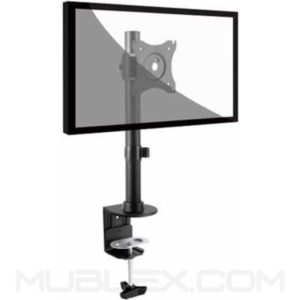 soporte economico principal 1