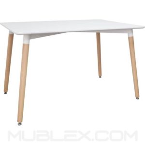 Mesa Rizz 1