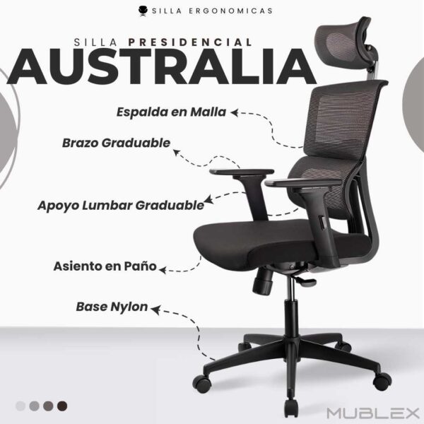 Silla australia presidente nylon 01