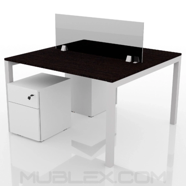 Escritorio 2P Metalico 12