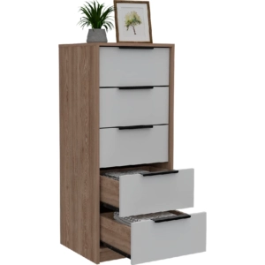 Organizador 4764 10